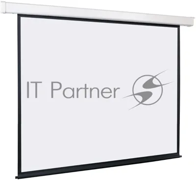 Экран с электроприводом Lumien Eco Control 229x305 см (раб. область 221х297 см) Matte White черная кайма по периметру 4:3