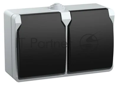 Розетка двухместная РСб22-3-ФСр с з/к для открытой установки IP54 Форс ERS22-K03-16-54-DC IEK
