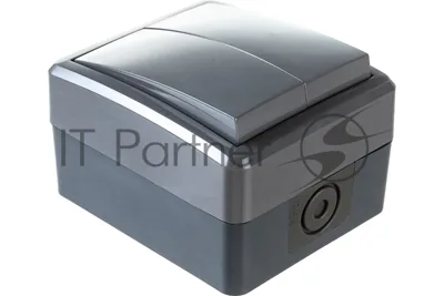 Выключатель двойной ЭРА IP54, 10АХ-250В, 11-1404-03, ОУ, Эксперт, серый (16/160/2560)