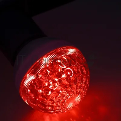 Лампа шар Neon-night e27 10 LED Ø50мм красная 24В (постоянное напряжение)