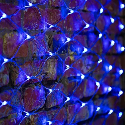 Гирлянда Neon-night "Сеть" 2х1,5м, свечение с динамикой, прозрачный ПВХ, 288 LED, 230 В, синий