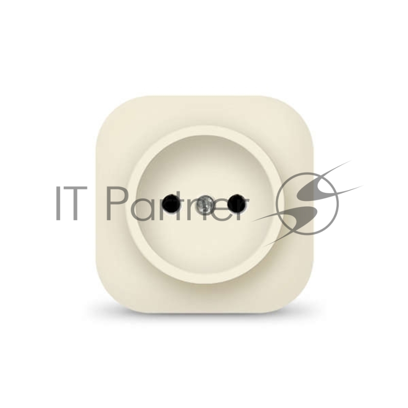 Розетка 1-м ОП 10А IP20 без заземл. сл. кость IONICH 1431