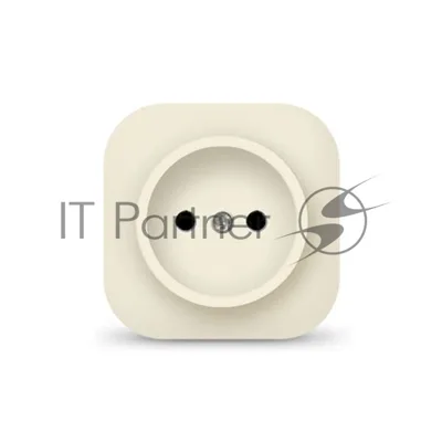 Розетка 1-м ОП 10А IP20 без заземл. сл. кость IONICH 1431