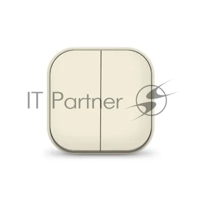 Выключатель 2-кл. 1п ОП 10А IP20 сл. кость IONICH 1425