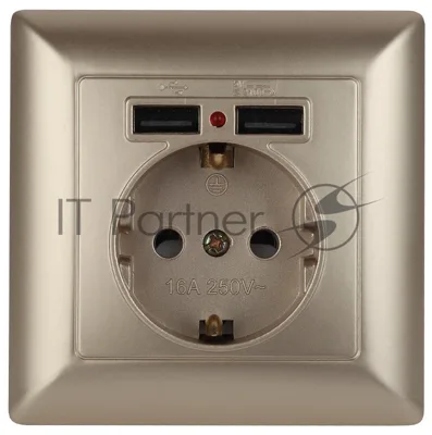Розетка Intro P+E Schuko со шторками, 16А-250В + 2хUSB, СУ, Solo, шампань (10/100/2500) 4-410-04
