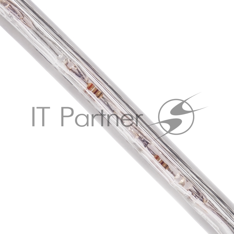 Дюралайт Neon-night LED, постоянное свечение (2W) – белый, 36 LED/м, бухта 100 м