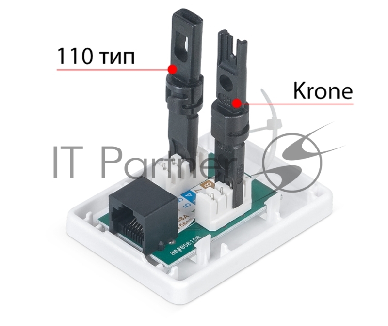 Розетка в сборе Cabeus, 1x RJ45(8P8C), кат. 6, неэкр., внешняя, белый, (WS-8P8C-Cat.6-1)