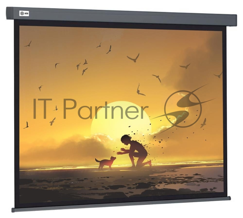 Экран Cactus 124.5x221 см Wallscreen CS-PSW-124X221-SG 16:9 настенно-потолочный рулонный серый