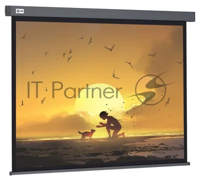Экран Cactus 124.5x221 см Wallscreen CS-PSW-124X221-SG 16:9 настенно-потолочный рулонный серый