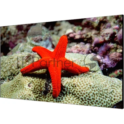 Экран LCD Hikvision DS-D2055LR-G 55", 1920x1080, 500 кд/м2, 1200:1, 60 Гц, 8 мс, 178°