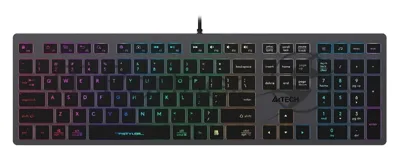 Клавиатура проводная A4Tech Fstyler FX60, USB, серый