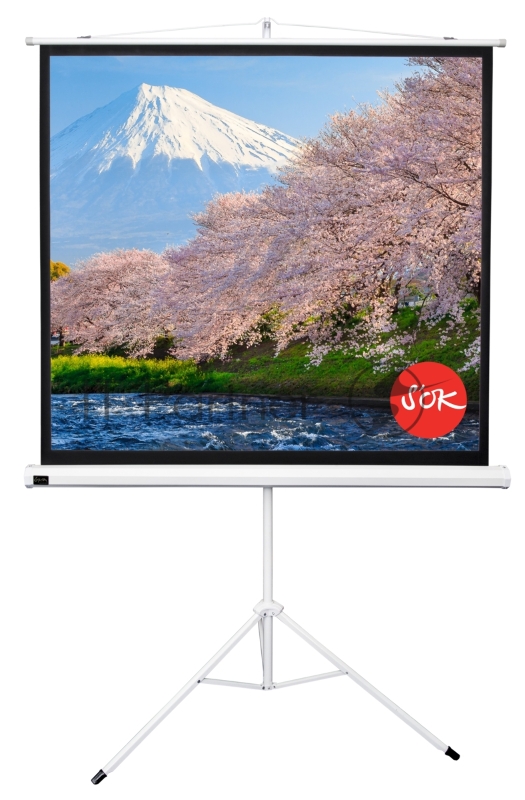 Экран Sakura 180x180 см TriScreen 1:1 напольный рулонный белый100' Matt White (MW), серый корпус