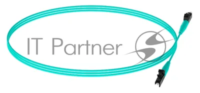 Патч-корд Panduit FZ2ELLNLNSNM001 2x50/125 OM4 LC дуплекс-LC дуплекс 1м LSZH аквамарин