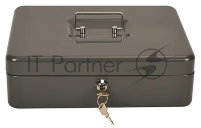 Ящик для денег Cactus CS-CB-004GY 90x300x240 серый