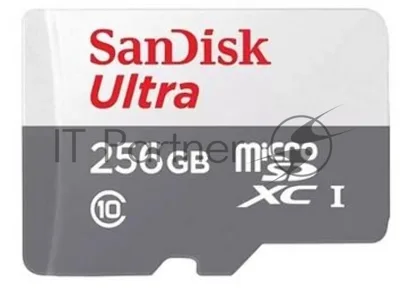 Флеш карта MICRO SDXC 256Gb UHS-I SDSQUNR-256G-GN3MN SANDISK