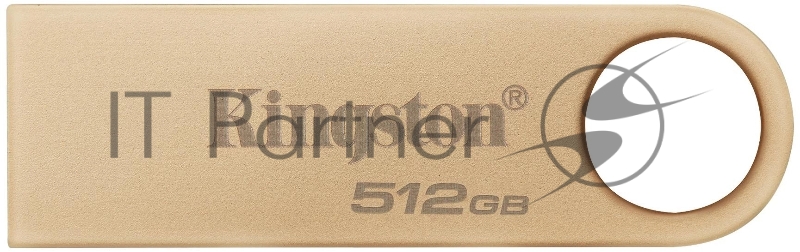 Флешка USB Kingston DataTraveler SE9 G3 (DTSE9G3/512Gb), 512Gb, USB 3.2 Gen 1, R/W 220/100, золотистый
