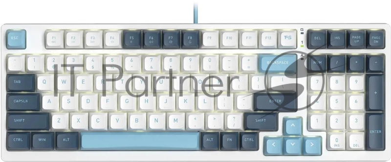 Клавиатура проводная A4Tech Fstyler FS300 (FS300 PANDA SNOWBOARDING), USB, белый/синий