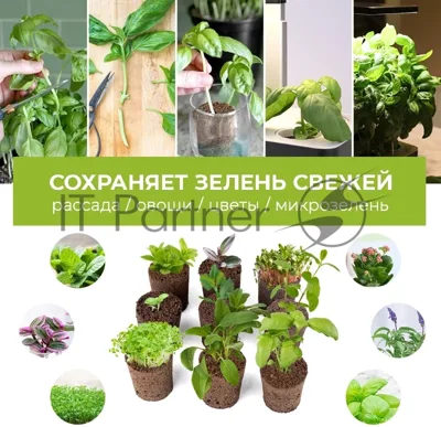 Набор питательных губок Cactus CS-SPONGE-11 для проращивания для CS-LEDPOT-11/SMARTPOT-11 (упак.:11шт) пакет