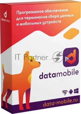 Программное обеспечение Неискл. право на исп-ие DataMobile версия Стандарт подп.1г. (DM12M)