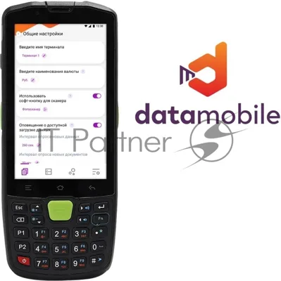Программное обеспечение Неискл. право на исп-ие DataMobile версия Стандарт LifeTime (DM)