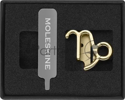 Шильд-символ Moleskine Zodiac Козерог, металл, золотистый, коробка с европодвесом, PINCAPRICORNGOLD
