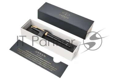 Ручка перьевая Parker Urban Core F309 (CW1931593) Muted Black GT, F, сталь нержавеющая, подарочная коробка