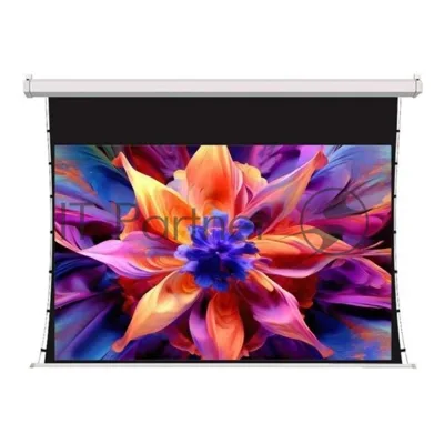 Экран для проектора S'OK SCPSMT-332x186FG-ED30 150 " 16:9 настенно-потолочный, моторизованный с боковым натяжением, белый, ED30 см