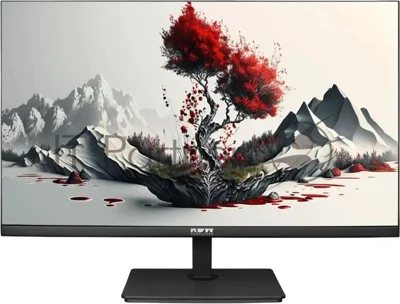 Монитор 23.8" RDW COMPUTERS 2401K IPS 1920x1080, 100 Гц, 4 мс, 16:9, 300 кд/м2, 1xHDMI, 1хDP, 1xVGA, черный