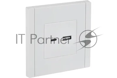 Розетка IEK FORTE&PIANO FP250 USB A+C 3,1А белый