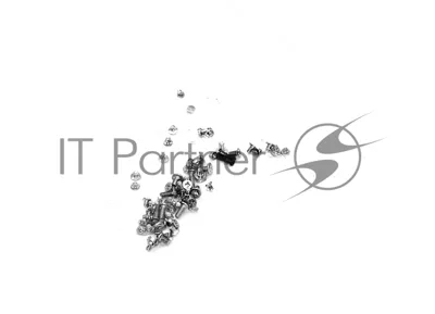 Набор винтов (внутренние) для iPhone 5S