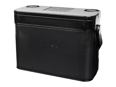 Переносная караоке система TRS2402 iconBIT K902B Колонка 10Вт, 2 микрофона Bluetooth, световые эффекты, аккумулятор в колонке 3000mAh и микрофонах, 22.3*9.6*15.7CM, черный