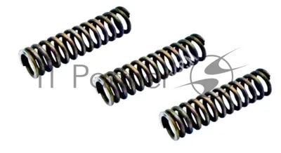 Комплект пружин ЗУ Bosch TCA, Siemens TK Surpresso S