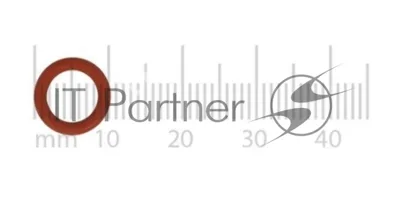 Уплотнитель сопла капучинатора 0R 0106 красный силикон