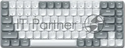 Клавиатура Satechi SM1 Slim Light гибридная, USB Type-A, Bluetooth, радиоканал, белый