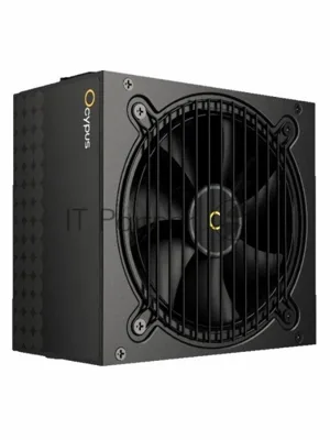 Блок питания 600W Ocypus Beta P600 BK (ATX, APFC, 20+4 pin, 120мм fan, PCI-E 6+2Px2, 3xSATA) (Beta-P600-N1HDBK024X-EU)