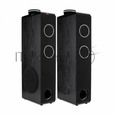 Колонки ELTRONIC (30-49 черный) HOME SOUND - 10 ", черный
