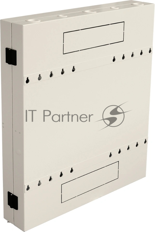 Шкаф коммутационный Lanmaster (TWT-CBVRT-2U-6X7-GY) настенный 2U 650x114мм пер.дв.стекл направл.под винты 68кг серый 19кг 741мм