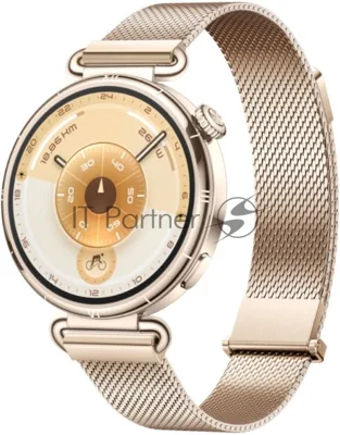 Умные часы HUAWEI Watch GT 6 KSU-B19, 1.32" AMOLED, 4G, Wi‑Fi, Bluetooth, NFC, 5 ATM/IP69, золотой