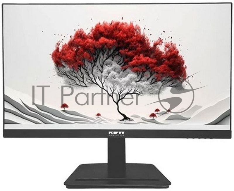 Монитор RDW Computers 23.8" RDW2401K черный IPS 4ms HDMI M/M HAS Piv 350cd 178гр/178гр 1920x1080 120Hz VGA DP FHD USB (RUS)