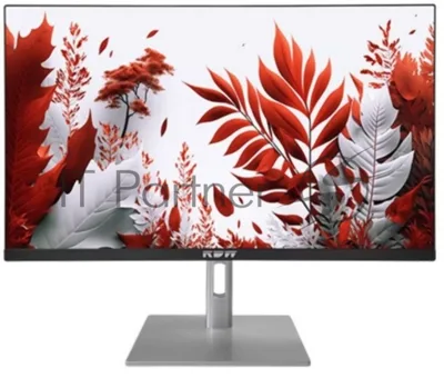 Монитор 23.8" RDW Computers RDW2407 IPS 1920x1080, 120 Гц, 1 мс (MPRT), 16:9, 300 кд/м², VGA, HDMI, DP, USB-C, USB Hub, 3.5 Jack, динамики, HDR10, черно-серебристый