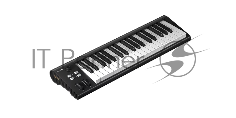 MIDI клавиатура 110105A2029 Icon Artist 37