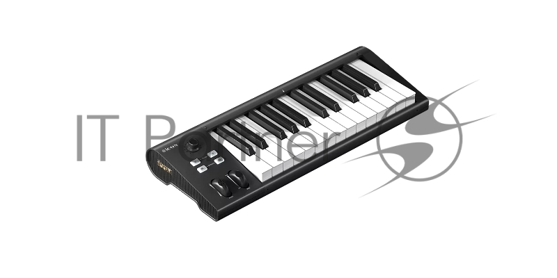 MIDI клавиатура 110105A2028 Icon Artist 25