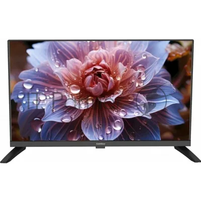 Телевизор GOLDSTAR 24" LT-24R1100 черный DLED HD 60Hz Smart TV