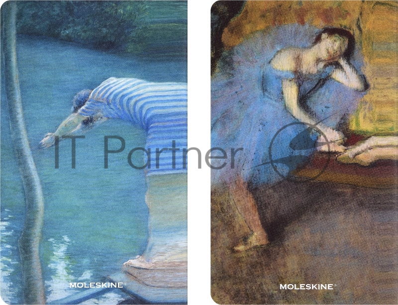 Блокнот Moleskine LIMITED EDITION CAHIER MUSEE D`ORSAY SKCAHL6911S3NL Large 130х210мм обложка картон 120стр. нелинованный мягкая обложка синий/коричневый (2шт)
