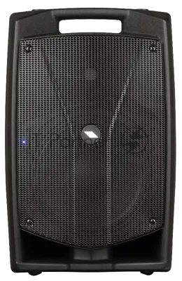 Активная акустическая система PROEL V10PRO 2-х полосная, НЧ динамик 10", ВЧ динамик 1", DSP, мощность пик./ном. 600/300 Вт, АЧХ 60-20000 Гц, макс. SPL 123 дБ, Combo XLR/TRS мик./лин. вход, XLR лин. выход, USB-A порт для радиосистем U24B/U24H