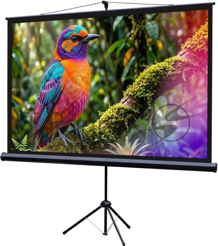 Экран на штативе Lumien Eco View 130x227см (раб.область124х221 см) (100") Matte White 16:9