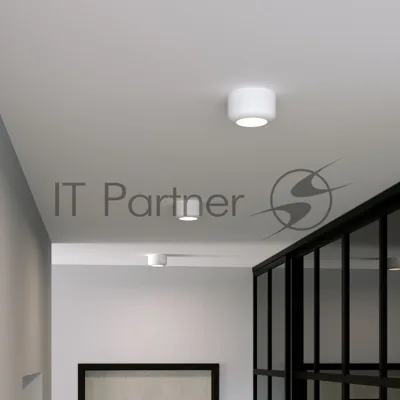 25046/LED 15W 4000K белый / Светильник потолочный светодиодный