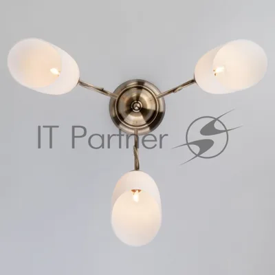 30107/3 / потолочный светильник /   античная бронза