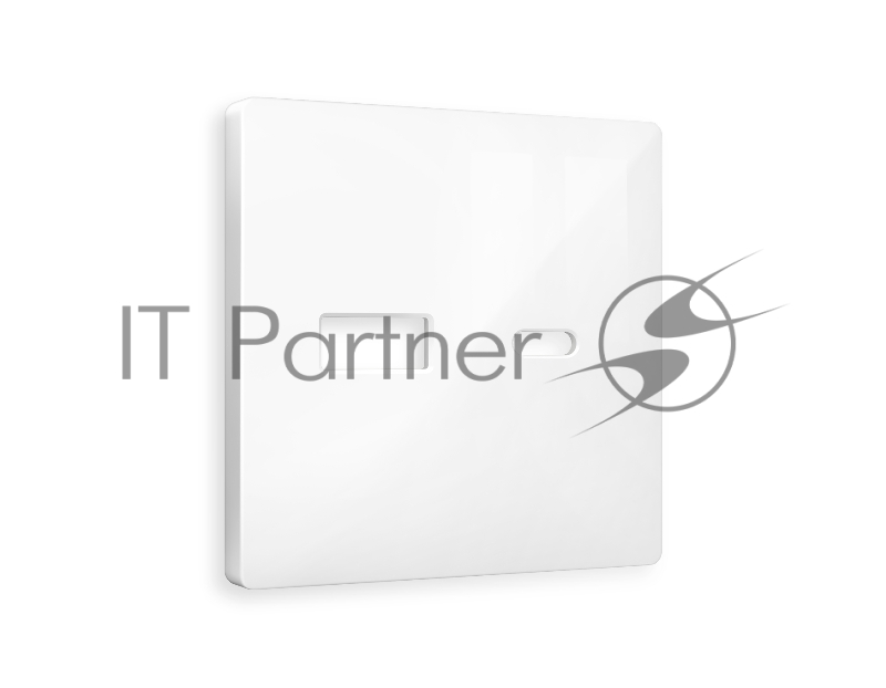 Лицевая панель ALFA (Белый глянец) для розетки 2USB тип A+C QUANT AP1110