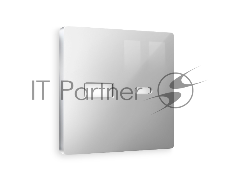 Лицевая панель ALFA (Серебро глянец) для розетки 2USB тип A+C QUANT AP4110